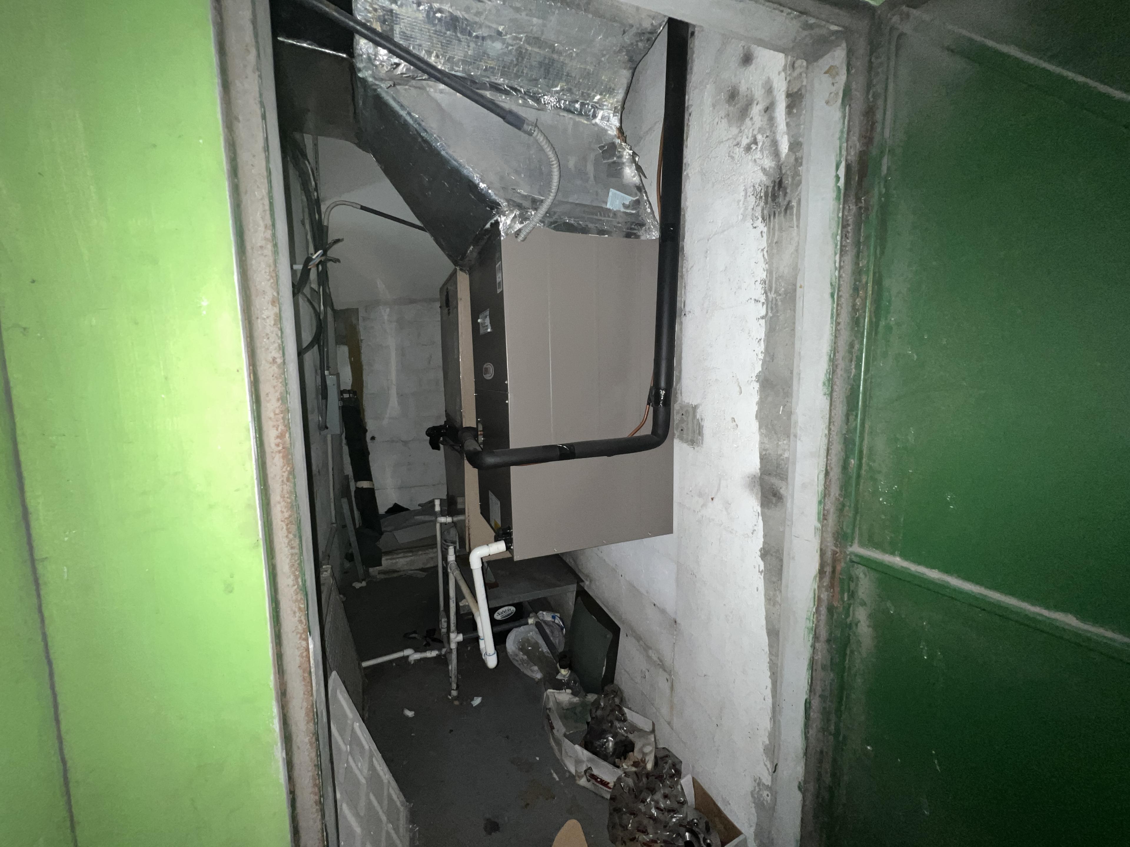 Gallery image 14