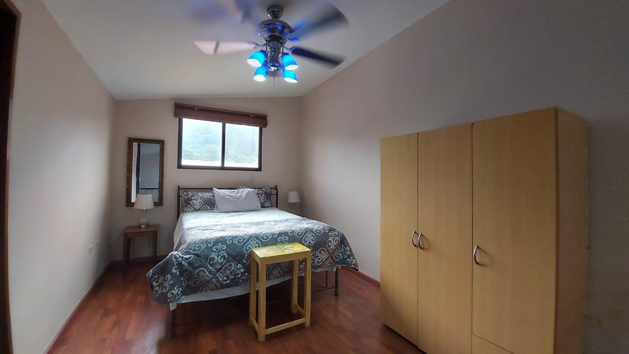 Gallery image 8