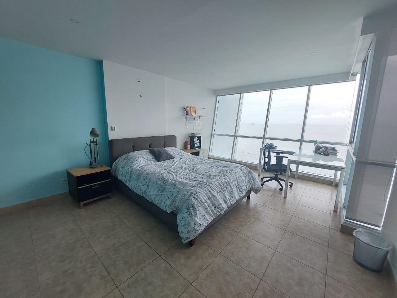 Gallery image 15