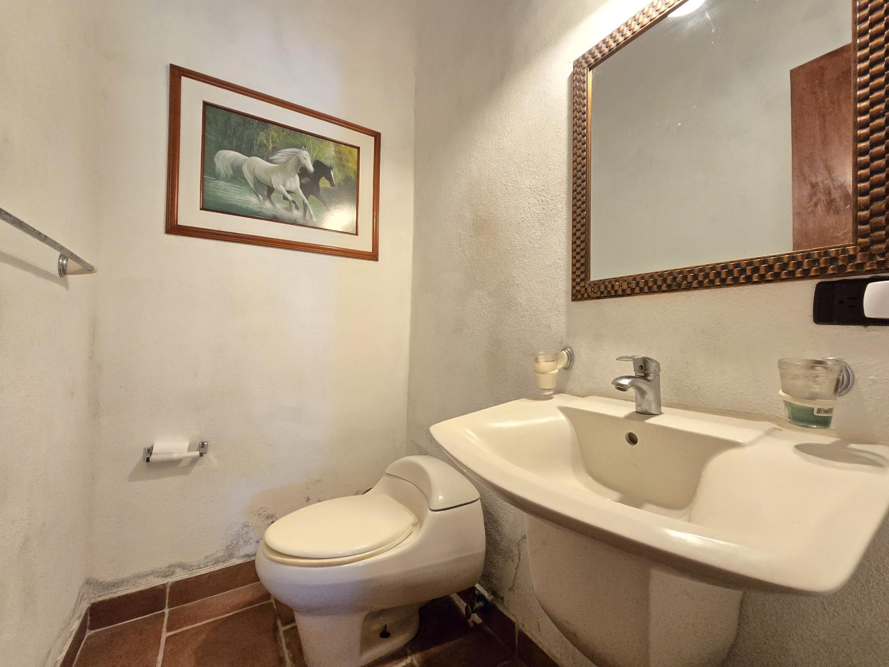 Gallery image 10