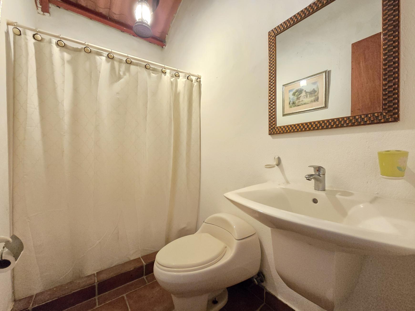 Gallery image 19