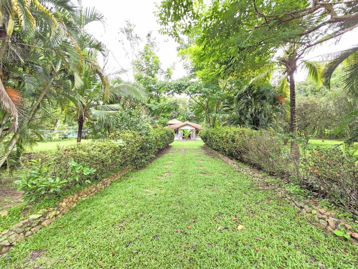 Gallery image 45