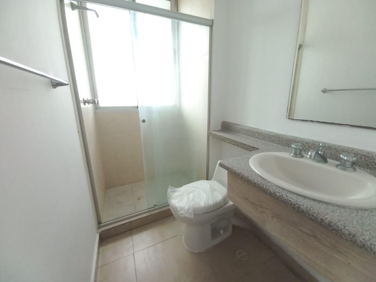 Gallery image 15