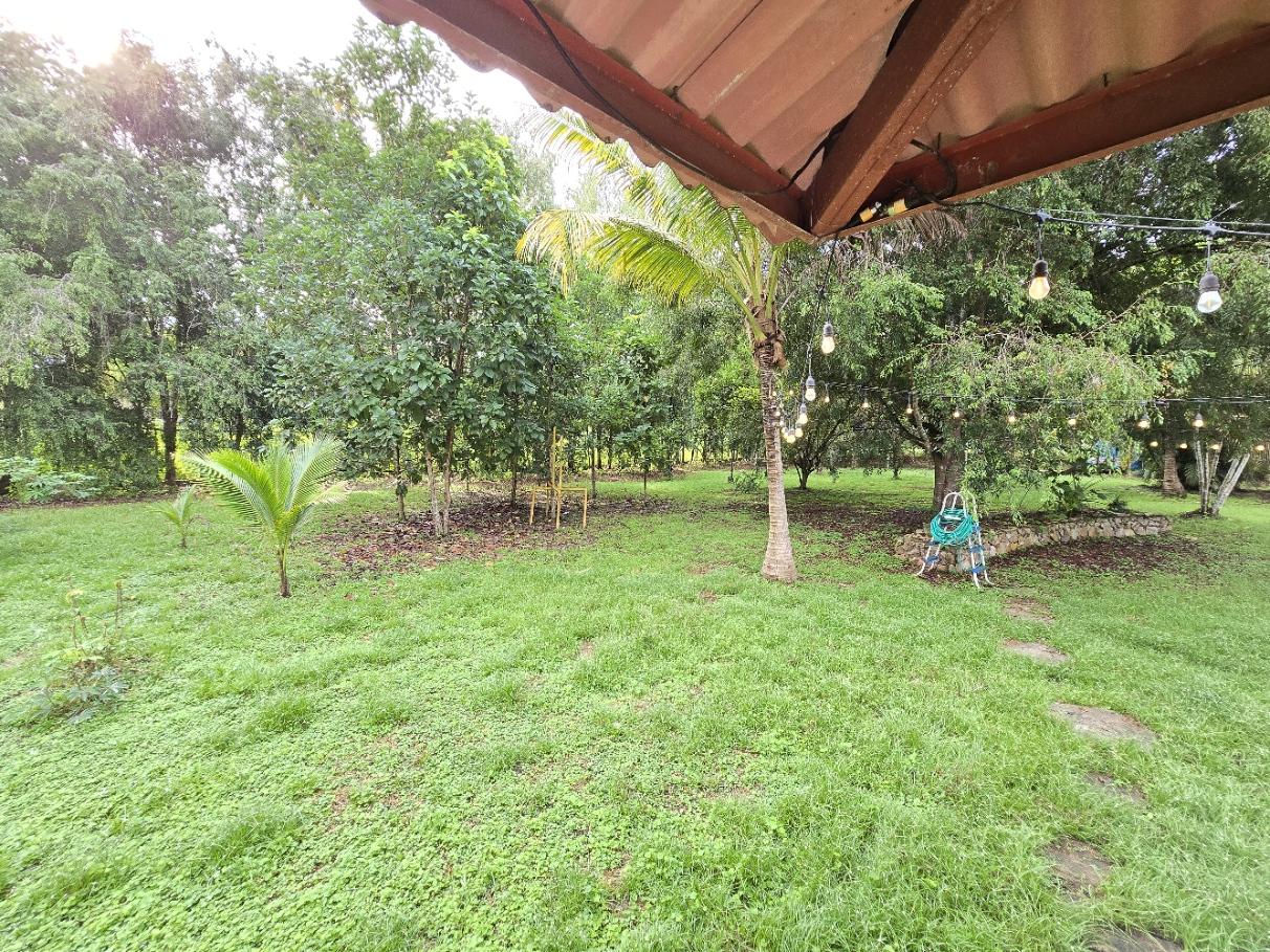 Gallery image 28