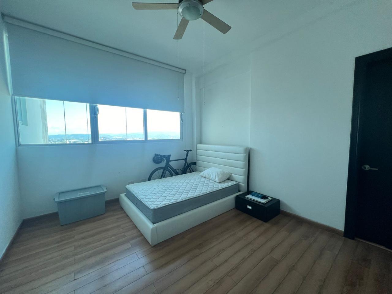 Gallery image 21