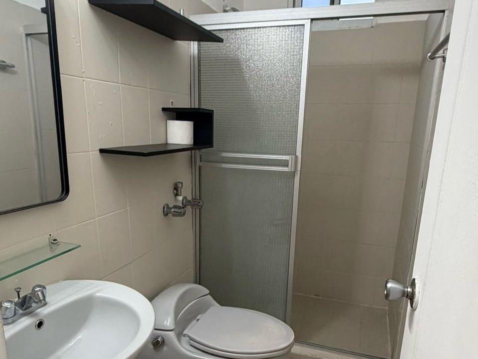 Gallery image 11