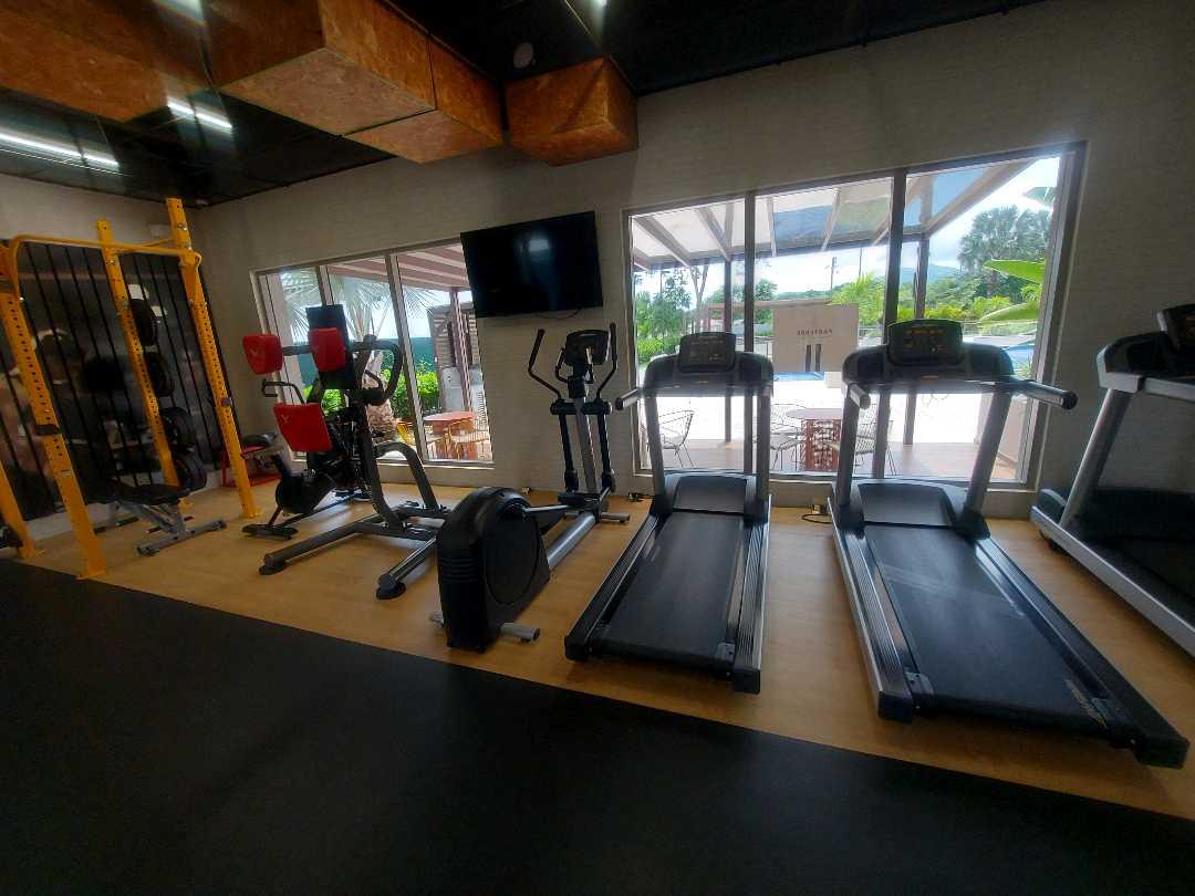 Gallery image 13