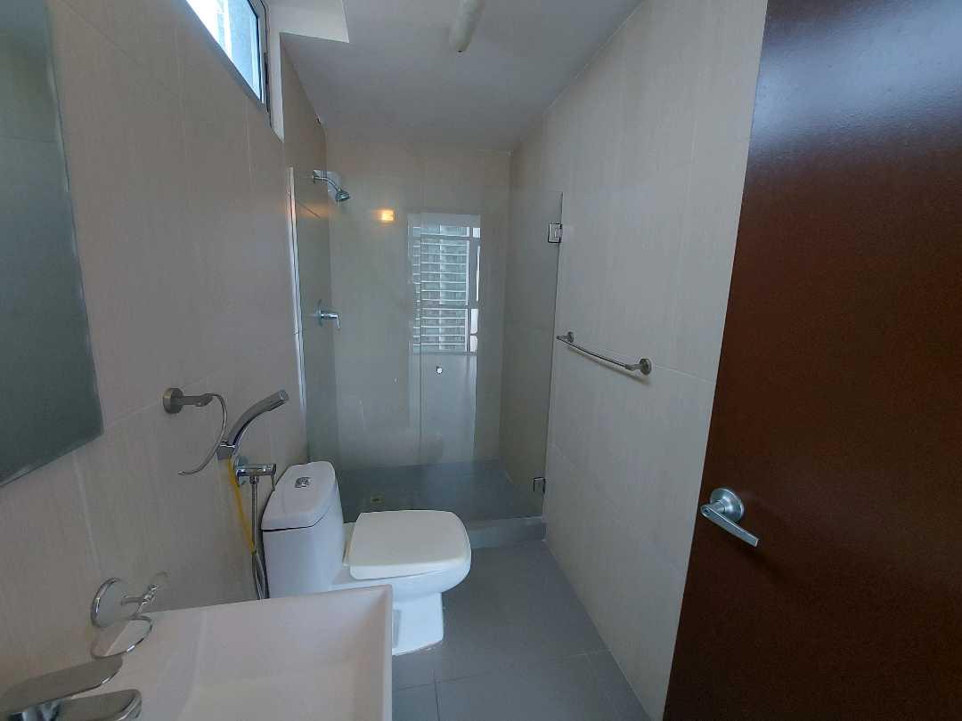 Gallery image 13