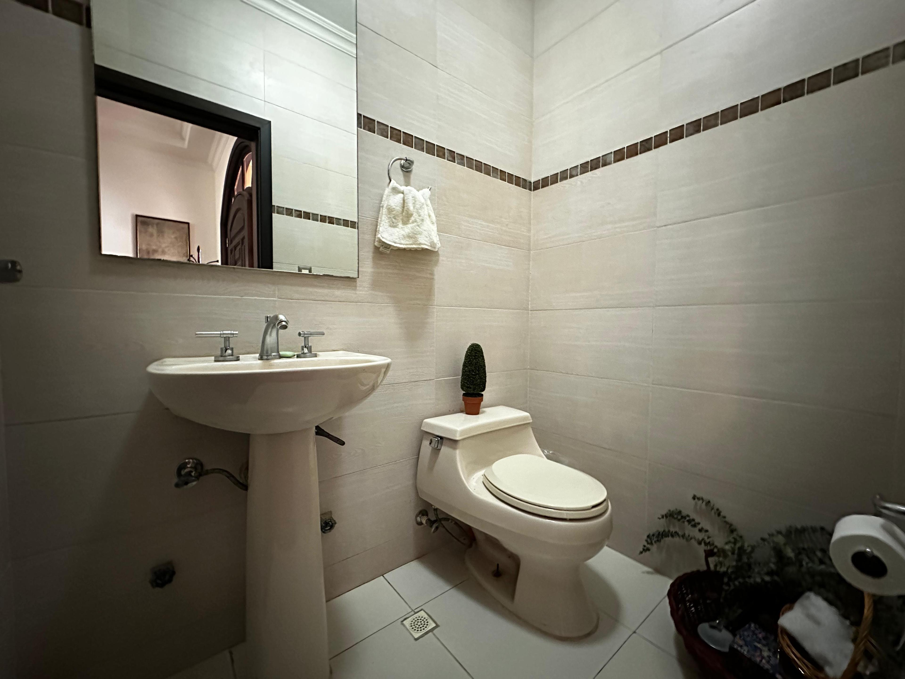 Gallery image 8