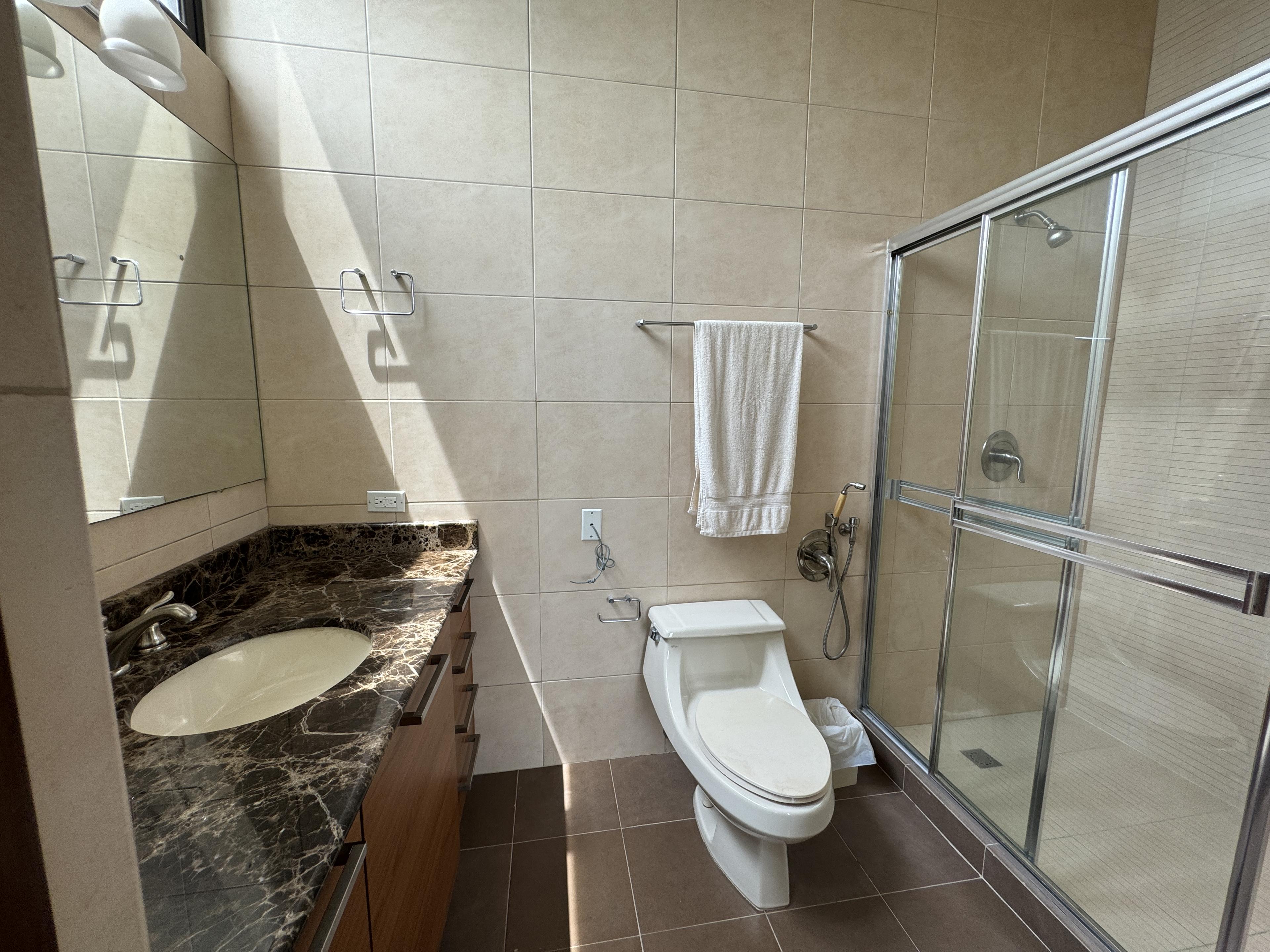 Gallery image 13
